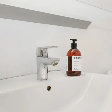 In An Oasis Of Life, Comfort & Style