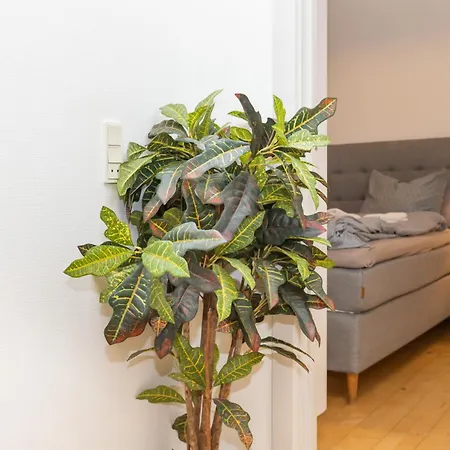 In An Oasis Of Life, Comfort & Style *