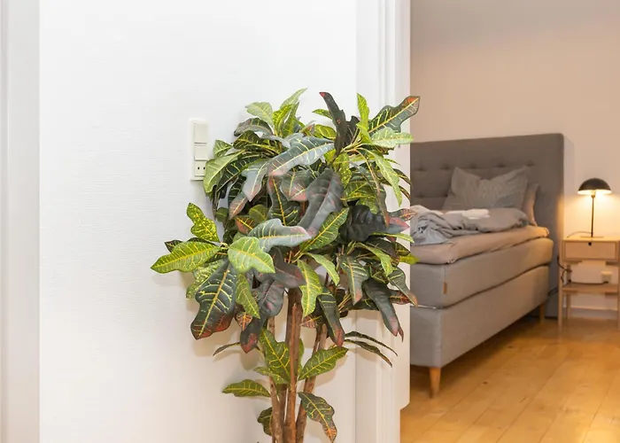 In An Oasis Of Life, Comfort & Style *